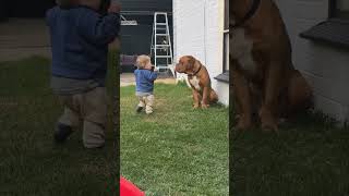 Heartwarming Moment as Child Embraces Dog Companion