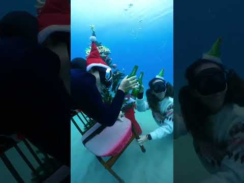 The Unerwater Xmas🎶沖縄で水中クリスマス