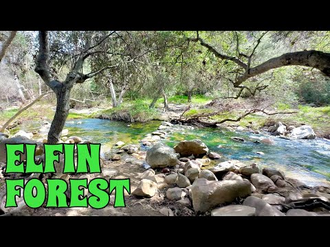 ELFIN FOREST | Silent Hiking