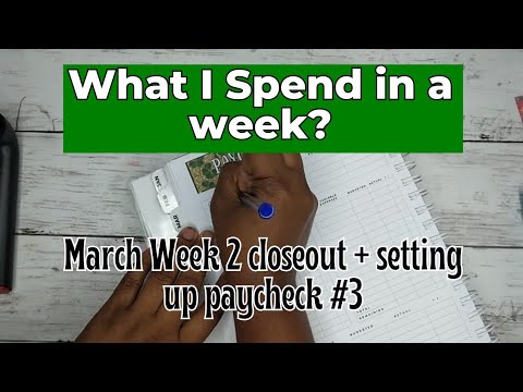 WHAT I  SPENT IN A WEEK ?? MARCH PAYCHECK #3 BREAKDOWN + I PAID OFF A CARD | WEEK 2 CHECK-IN