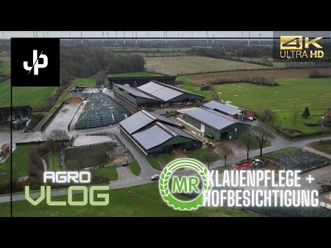 Maschinenring-Klauenpflege auf einem Betrieb mit 620 Milchkühen! Agrovlog#18 || JP Agrar