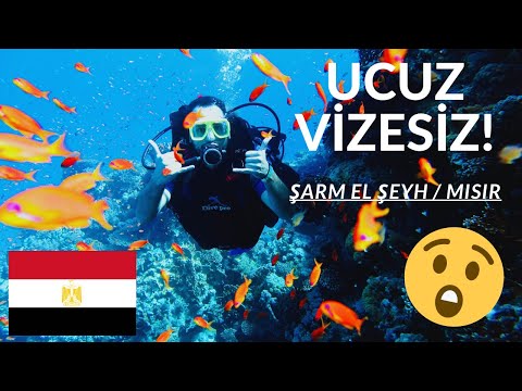 Şarm El Şeyh Mısır'a Gidilmeli mi? | Sharm El Sheikh Gezisi Vlog 2025