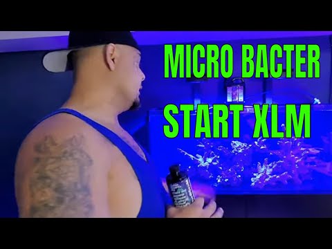 Micro Bacter Start XLM  Cycling marine aquarium