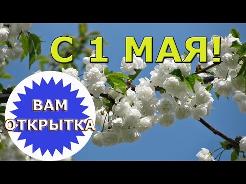 С 1 мая! Праздником Весны и Труда!