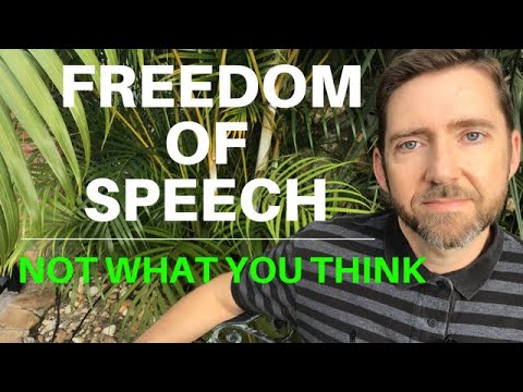 First Amendment, Freedom of Speech Explained