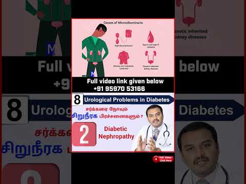 2. Diabetic Nephropathy  - Diabetes and Kidney diseases /சர்க்கரை நோயும் 8 சிறுநீரக பிரச்சனைகளும்