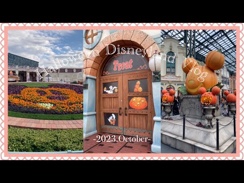 【Disney Vlog】15時からディズニーランドを楽しんできた日👻❣️