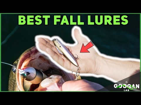 BEST 5 FALL Fishing LURES! ( Bass Fishing Tips )