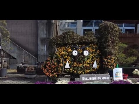 三段池ラビハウス植物園　癒しのタイムチャンネル