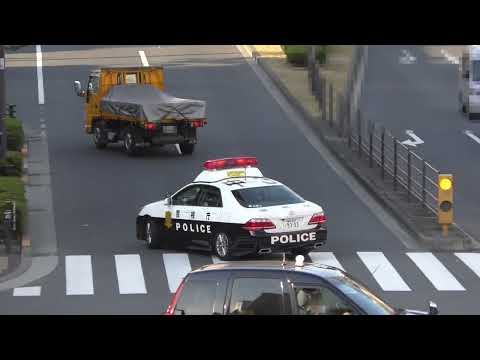 【警察】目の前で堂々と違反をしたトラックを追うパトカー