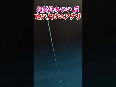 【イカメタル】ティップが浮く