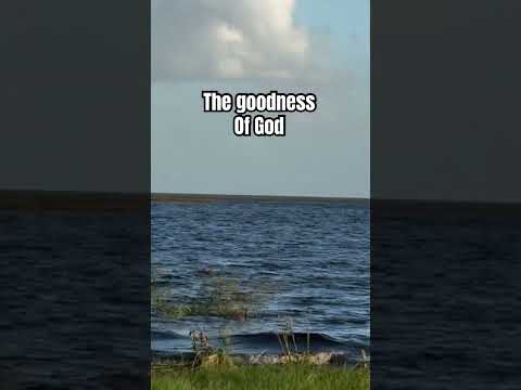 The Goodness of God #music #song #love #live #nature #faith #florida #okeechobee