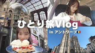 【ひとり旅Vlog】人生初の1人旅行inアントワープ🇧🇪 ワッフル/動物園/Dries Van Noten/フランダースの犬