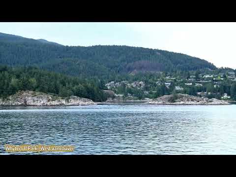 June 29,2024 Chantelle & Harmony at North Island Wildlife Recovery Centre , BC Canada