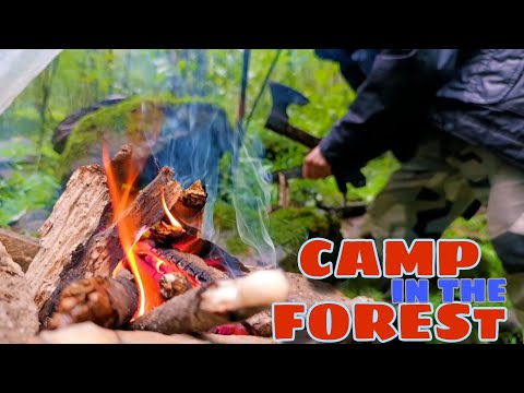 SOLO CAMP IN THE FOREST 🌧️[]The story of walking in the forest and camping in rainy weather]]