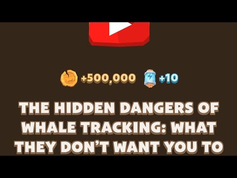 THE HIDDEN DANGERS OF WHALE TRACKING: WHAT THEY DON'T WANT YOU TO KNOW Memefi code