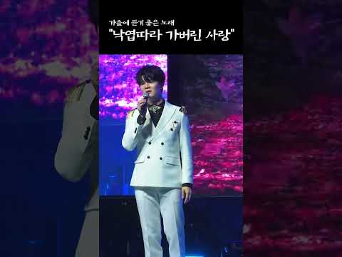 신인선 - 낙엽따라 가버린 사랑