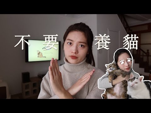 五個理由勸你不要養貓！鏟屎官有話要說💬🐈