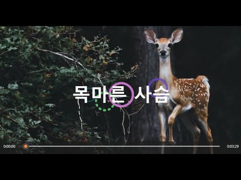 목마른 사슴