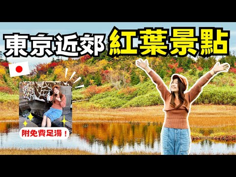 東京近郊紅葉見頃🍁 搭纜車看紅葉美景✨ 享受日本酒和免費足湯♨️ ｜日本長野栂池高原 ｜日本有個U1