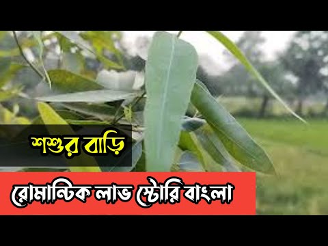 শ্বশুর বাড়ি || রোমান্টিক লাভ স্টোরি বাংলা || Anika Dairy