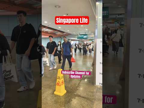 Life In Singapore #travel #singapore #job #explore #lifestyle #vlog #hindi