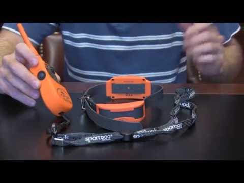 Beeper and Beeper Collars Overview