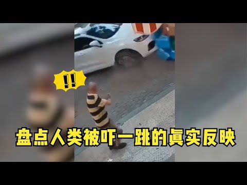 盘点人类被吓一跳的真实反应，原谅我不厚道得笑了。反应太真实