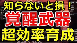 MHWI】ムフェト報酬の龍光石使う前に必ず見てほしい「覚醒武器育成の罠」最高効率おすすめ強化方法をご紹介！知って損なし！【モンハンワールドアイスボーン】