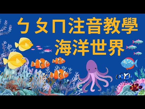 ㄅㄆㄇㄈ 注音教學｜海洋動物｜注音符號發音｜兒童英文學習｜中英文單字｜雙語教育｜Sea Animals in Chinese | Bopomofo Zhuyin