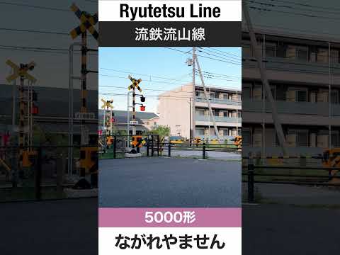 【踏切・ジョイント音】流鉄流山線 鰭ヶ崎-平和台駅間【電車が大好きな子供向け】Japanese Trains for Kids - Ryutetsu Nagareyama Line