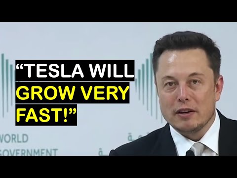 Elon Musk vs. Cathie Wood: Tesla, Battery, Innovation