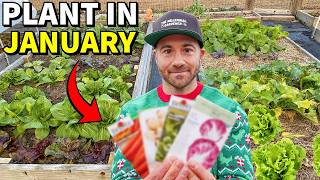 36 Veggies You Can Plant In January RIGHT NOW!