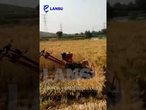 Functional power tiller rice/wheat harvester