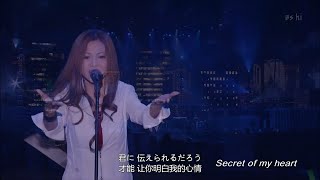 倉木麻衣~10th Anniversary 十週年演唱會2009