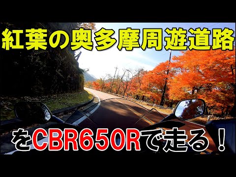 【CBR650R】紅葉と落葉の奥多摩周遊道路ツーリング