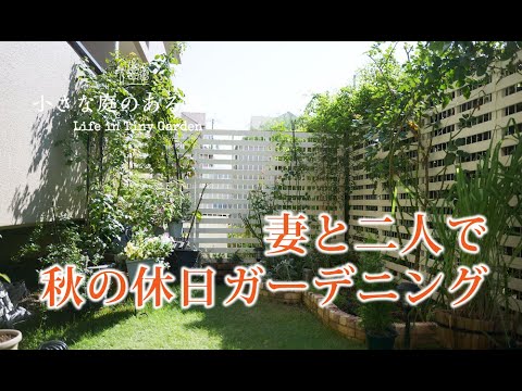 ガーデニング｜妻と二人で秋の休日ガーデニング｜ 〜小さな庭のある暮らし#90〜Gardening ｜ Life in a tiny garden