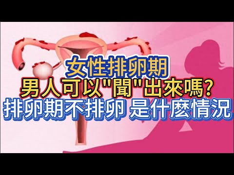 女性排卵期，男人可以"聞"出來嗎?排卵期不排卵，是什麽情況