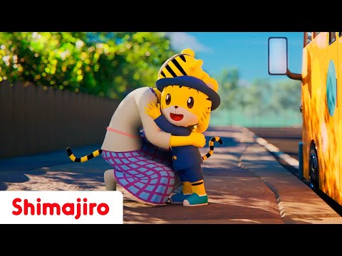 Back to school songs! 🖍️📘 | New School habits for kids | Shimajiro Nursery Rhymes