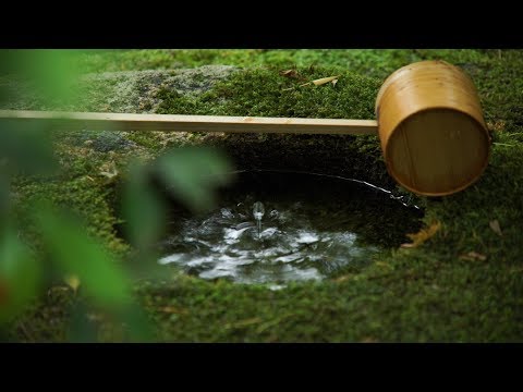 4K KYOTO [viewTV-93] 高台寺 新緑 茶会 ”Special Tea Ceremony in Kodaiji Temple"