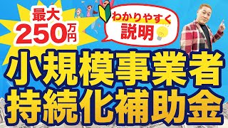 【最大250万円】小規模事業者持続化補助金をプロが約10分でまるっと解説！