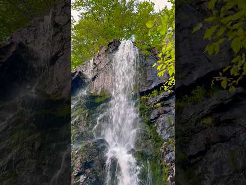 Waterfall  in Bad harzburg.. Germany 🇩🇪  #relaxingmusic #nature #waterfall #meditationmusic