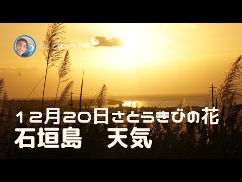 【石垣島天気】12月20日7時ごろ。15秒でわかる今日の石垣島の様子。