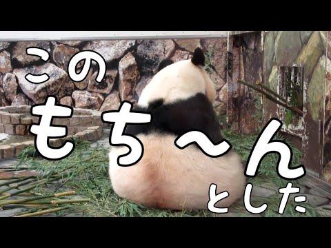 ラブリーマシュマロクッ…ション？　良浜🍯