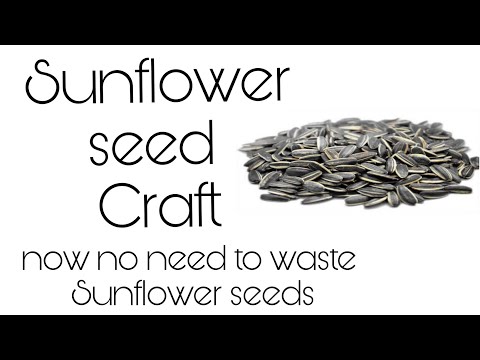 Sunflower Seed Craft