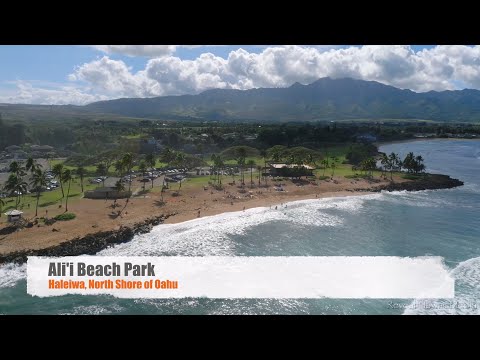 Surfing Haleiwa (Dec 22, 2022)   4K