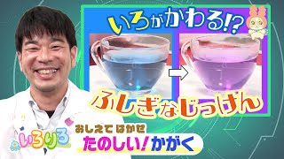 色が変わる不思議な実験！│科学博士の楽しい実験│未就学児・幼稚園・保育園│【いろりろ公式】