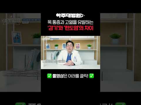 목 통증과 고열을 유발하는 '감기'와 '편도염'의 차이