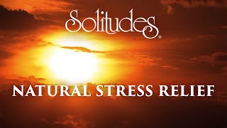 Dan Gibson’s Solitudes - Sienna Sky | Natural Stress Relief