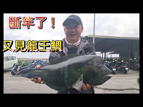 綠島魚很大 直接斷竿 第一天下午剛到就給我震撼教育 這隻好像蘇眉魚